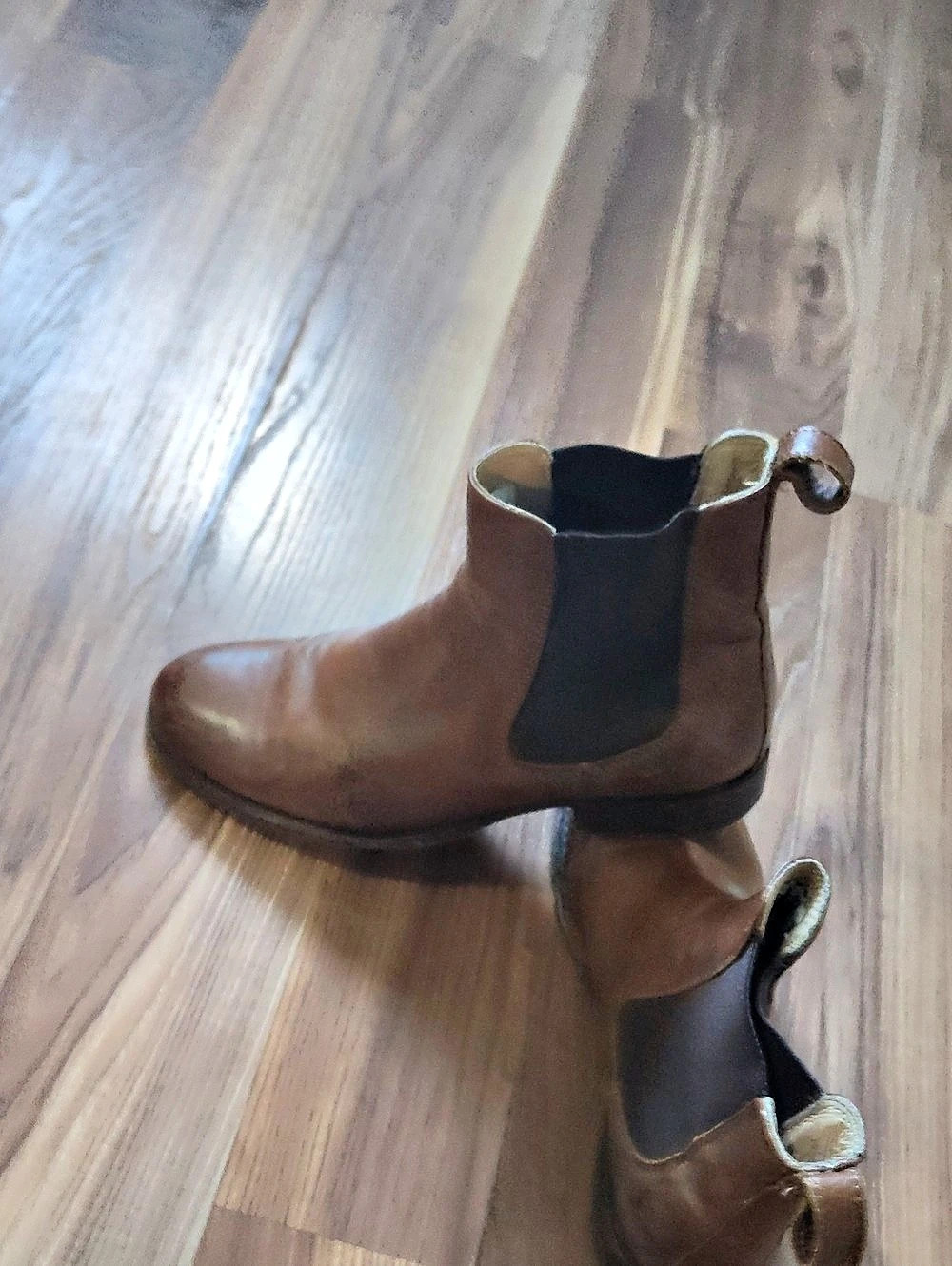 FRYE Women Brown Chelsea Ankle Boots